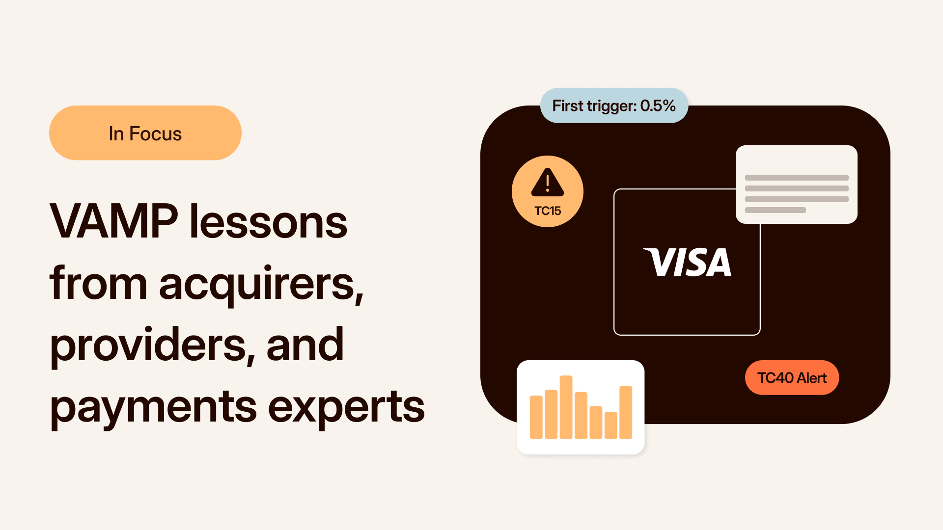 VAMP lessons from acquirers, risk providers, payments experts